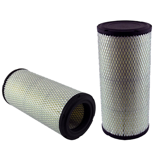 Radial Seals